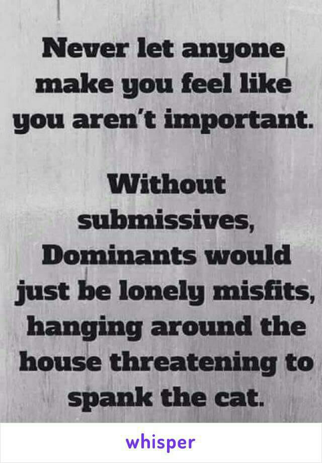Without submissives, dominants would just be lonely misfits, hanging around the hose threatening to spank the cat.